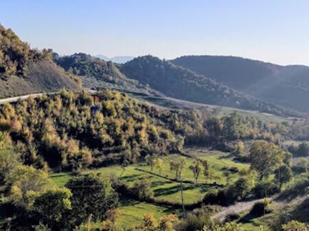Tokë bujqësore - Për Shitje - Bërzhitë, Tiranë