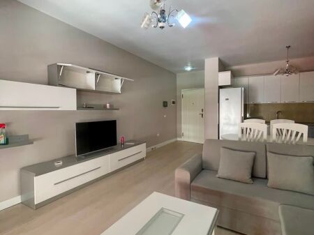  APARTAMENT 1+1 ME QIRA TE KOMPLEKSI DELIJORGJI 