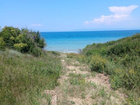 LAND FOR SALE 3850 m2 IN THE HEART OF RODONI CAPE