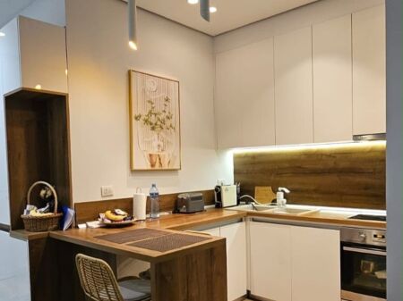 Apartament me qera 1+1 Kopshti Botanik