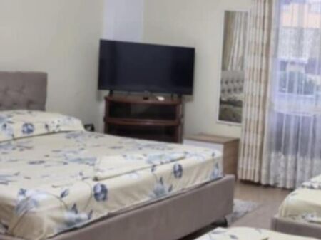 STUDIO APARTMENT 30000 LEKE. MUNICIPALITY OF PARIS