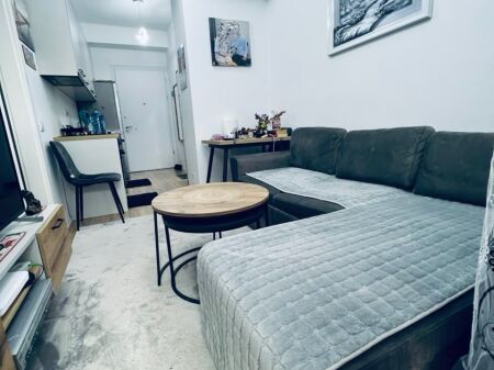 APARTMENT FOR RENT 1+1, ALI DEMI