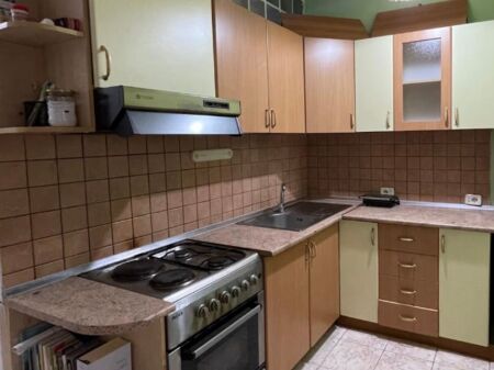 1+1 apartment for rent in Myslym Shyr!