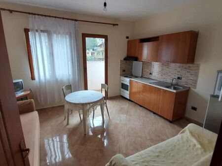 APARTMENT 1+1. 30000 LEKE. AMERICAN HOSPITAL 3