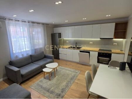 Apartment 1+1 for rent near the Red School