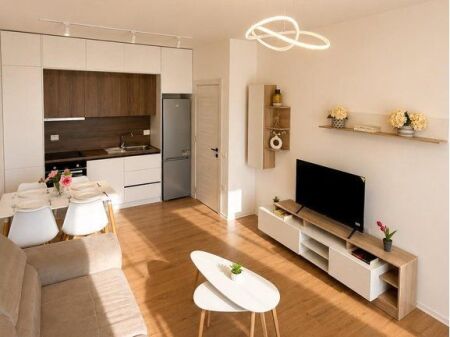 Modern 1+1 apartment for rent at Albulena Residence in Paskuqan. 400 € /Month