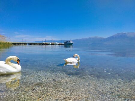 SHITET TOKE TRUALL  POGRADEC 1.130 m2