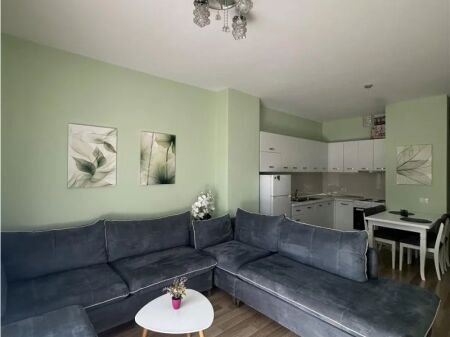 Apartment for Rent 1+1 in the Center (ID B210791) Tirana