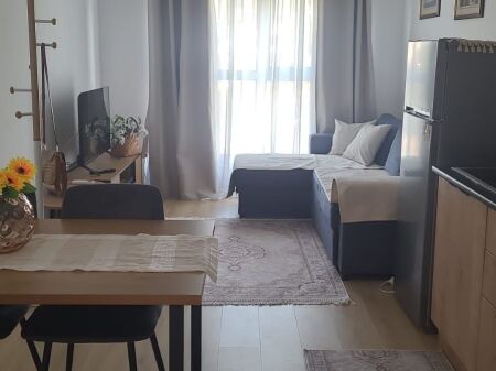 🏡 Jepet me Qira Apartament 1+1 – Kadiu Residence, Ali Demi