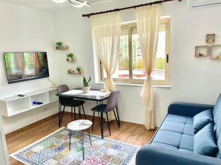Apartment for rent in the Blloku area