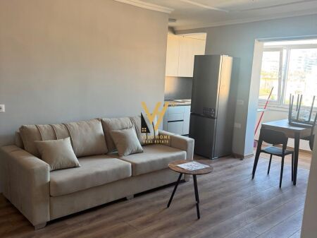 JEPET APARTAMENT 1+1+BLK ME QERA NE VASIL SHANTO 650 EURO