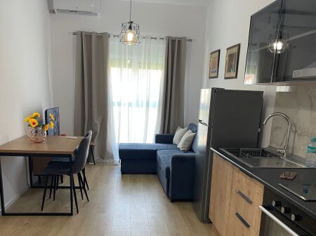 Appartamento 1+1 in affitto