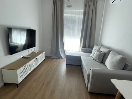 Apartment 1+1 for rent