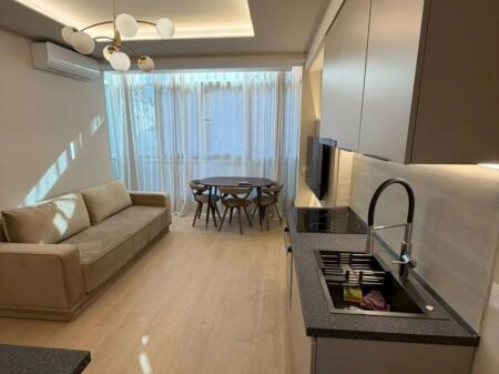 Apartment For Rent 1+1 At Ali Demi (ID B2101822) Tirane