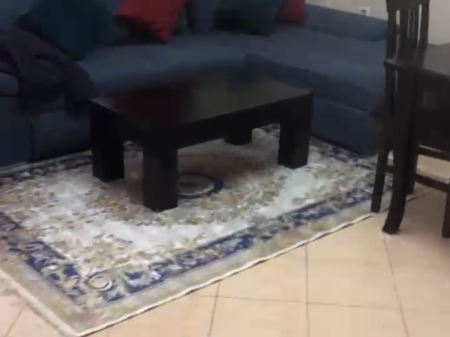 Apartment 2+1 for rent in Astir !