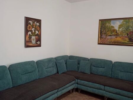 Apartament me qera 1+1 Mine Peza