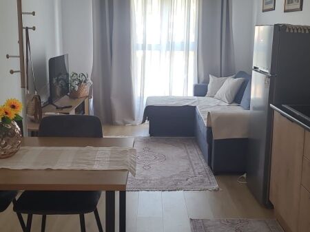 Apartment 1+1 for rent  Kadiu Residence Ali Demi