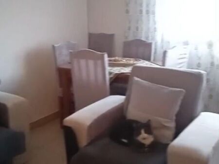 Rent | Apartament 2 + 1 | Oxhaku | 450 €/month