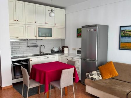APARTMENT FOR RENT 1+1, PARIS COMMUNE
