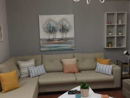 Elbasani Street, 1+1 apartment for rent.