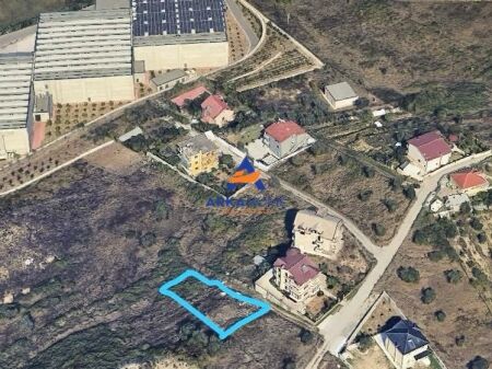SHITET TOKE 800 M2 "PRANE MBIKALIMIT TE RINASIT" 100.000 EURO