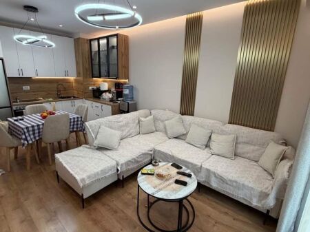 Apartment 1+1 for rent