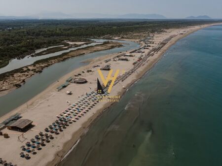 SHITET TRUALL 54.000 M2 NE DARZEZE, FIER