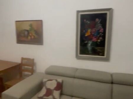 Apartment for rent 1+1 Myslym Shyri