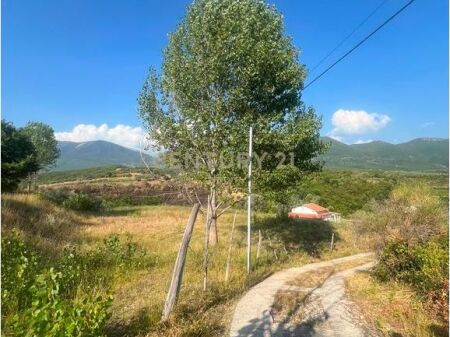 Shitet truall 850 + 2300 m² në Barbas