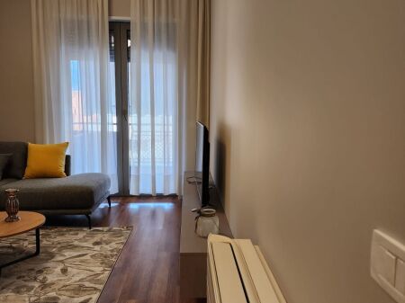 Appartamento 1+1 in affitto Complesso Delijorgji