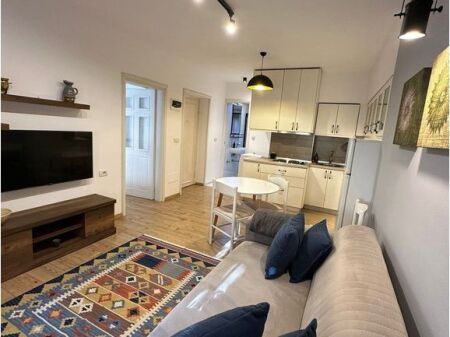 1 SHTATOR! Apartament 1+1 me Qira - Rruga e Elbasanit