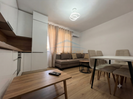 Rent , Apartment 1+1 , Center , Tirana