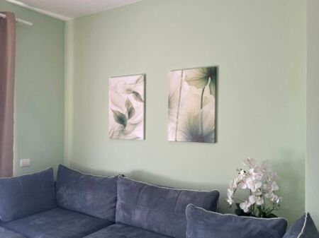 Apartament 1+1 me qira prane Toptanit