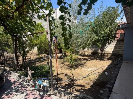 Private house for rent