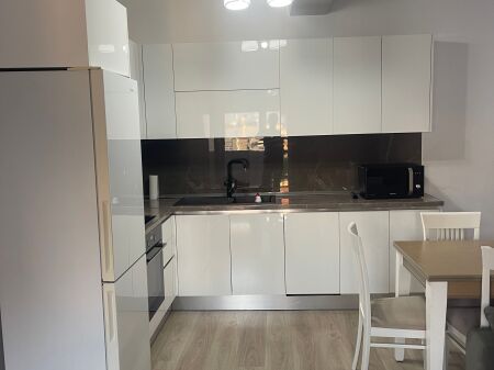 Appartamento 1+1 in affitto a Brryli