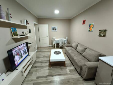 Apartment For Rent 1+1 At Durres Street (ID B211479) Tirana