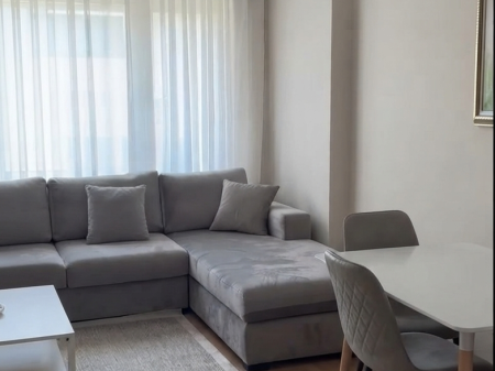 Rent, Apartment 1+1, Mine Peza Street, Tirana.