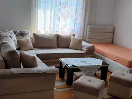 Apartament me qera 1+1 Vasil Shanto