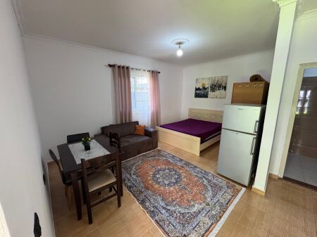 Monolocale in affitto 40 m² – Vicino al Nuovo Viale, Tirana