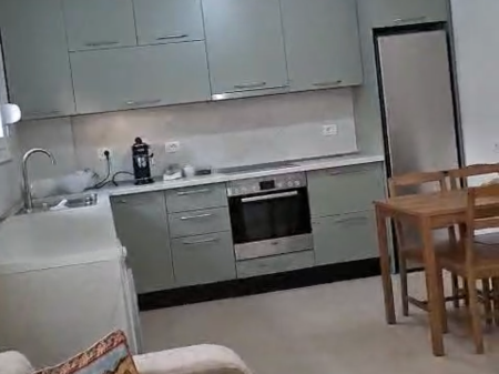 Apartment 1+1 for rent Astir !