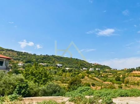 Tokë për Shitje – Kodër Kashar, Tiranë