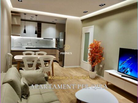 Apartment 1+1 for rent at Komuna e Parisit