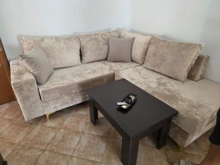 APARTMENT FOR RENT 1+1, MISTO MAME