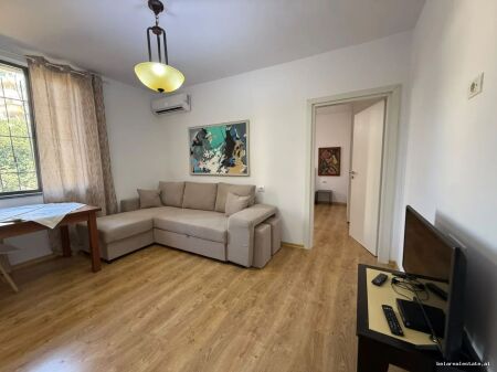 Apartment For Rent 1+1 in Center (ID B211482) Tirana