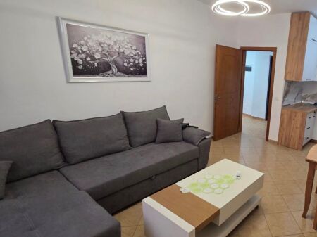 Apartament me qera 1+1 5 Maji