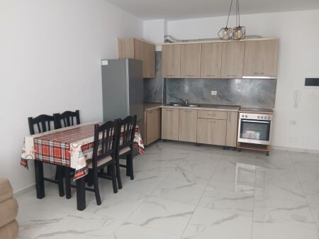 Apartment 1+1 for rent in Kamez!