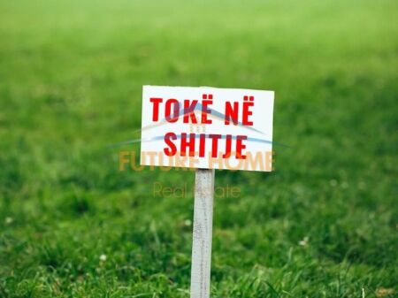 Shitet, Tokë, Petrele , Tiranë