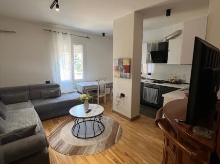 APARTMENT 2+1+2+PARKING SPACE FOR RENT NEAR THE ARTIFICIAL LAKE, PAVAROTI