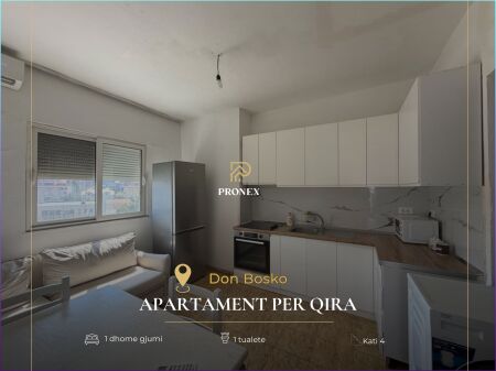 Apartment 1+1+Separate kitchen for rent in Don Bos