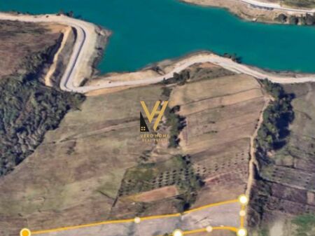 SHITET TOKE 6.000 M2 NE FARKE, TIRANE